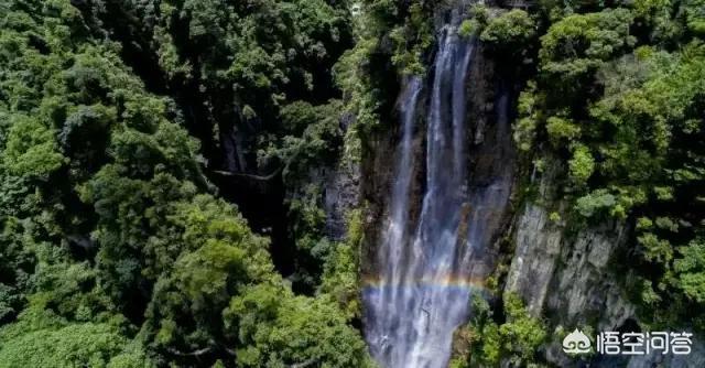 南靖树海瀑布图片(南靖树海瀑布在哪里)-第5张图片 南靖树海瀑布图片(南靖树海瀑布在哪里)-第5张图片