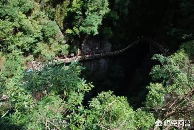 南靖树海瀑布图片(南靖树海瀑布在哪里)-第7张图片 南靖树海瀑布图片(南靖树海瀑布在哪里)-第7张图片