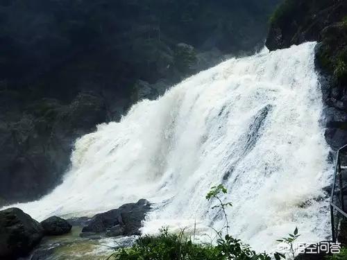 南靖树海瀑布图片(南靖树海瀑布在哪里)-第9张图片 南靖树海瀑布图片(南靖树海瀑布在哪里)-第9张图片