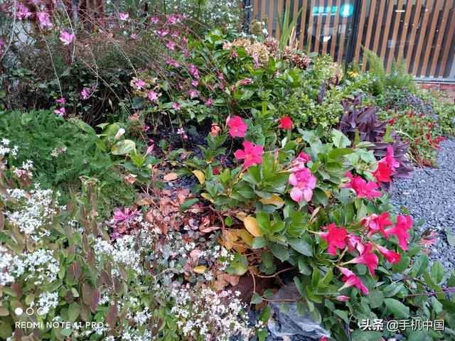 三星note3拍照声音怎么关闭（三星note3相机声音怎么关）-第28张图片