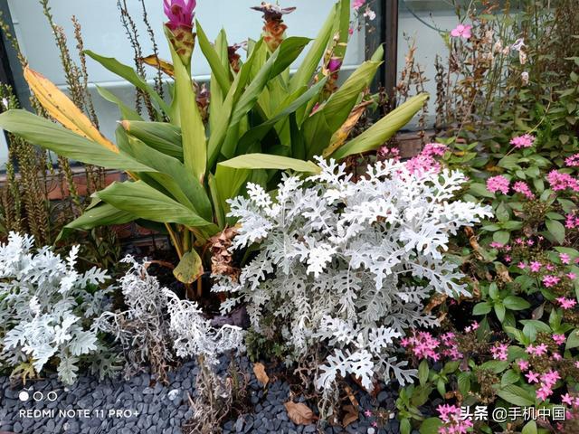 三星note3拍照声音怎么关闭（三星note3相机声音怎么关）-第29张图片