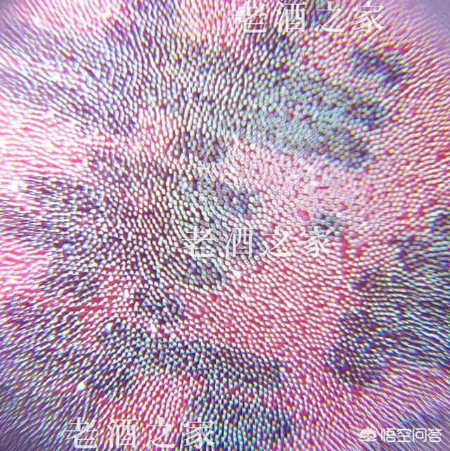 2021茅台酒真假鉴别方法图（2021款茅台酒真假鉴别方法图）-第25张图片