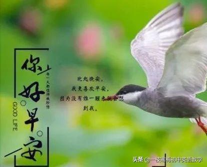 世界上最长的英语单词怎么读音标(世界上最长的英语单词怎么读)-第2张图片 世界上最长的英语单词怎么读音标(世界上最长的英语单词怎么读)-第2张图片