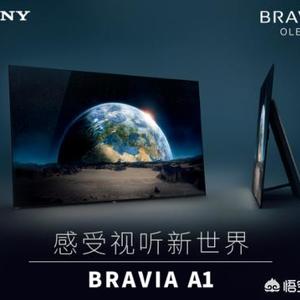 液晶电视排名前十名有哪些牌子（液晶电视十大名牌）