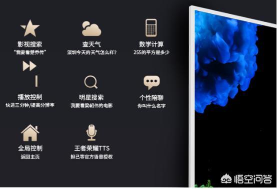 液晶电视排名前十名有哪些牌子(液晶电视十大名牌)-第2张图片 液晶电视排名前十名有哪些牌子(液晶电视十大名牌)-第2张图片