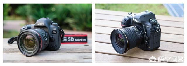 尼康d3100套机(18-55mmvr)（尼康D3100套机图片）-第1张图片