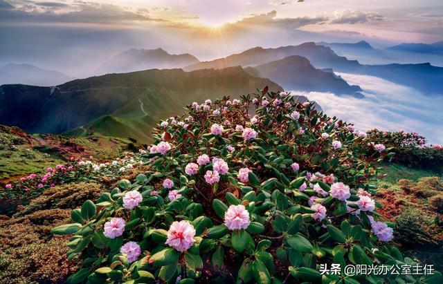 中国十佳宜居城市2022排名(中国十佳宜居城市2022名单)-第5张图片 中国十佳宜居城市2022排名(中国十佳宜居城市2022名单)-第5张图片