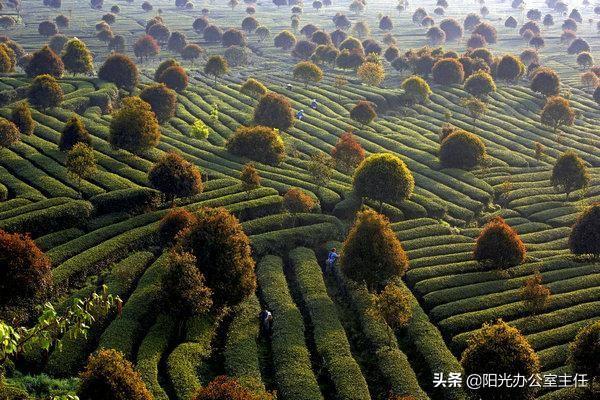 中国十佳宜居城市2022排名(中国十佳宜居城市2022名单)-第8张图片 中国十佳宜居城市2022排名(中国十佳宜居城市2022名单)-第8张图片