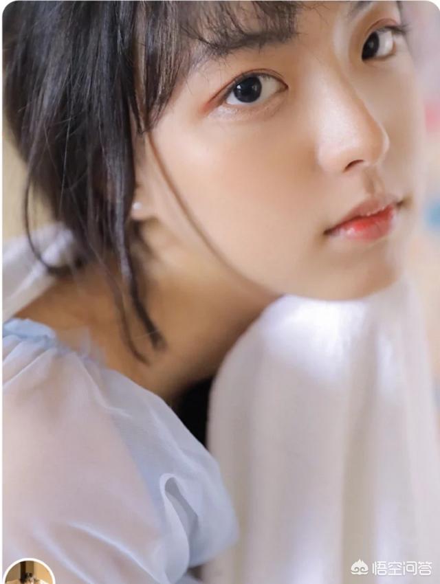 梵克雅宝美之传承（梵克雅宝美之传承内页）-第1张图片