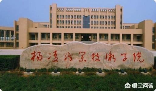 陕西省大专院校排名（陕西省大专院校排行榜公办）-第5张图片