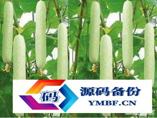 蓬莱有什么特产可以带（山东蓬莱有什么特产）-第6张图片
