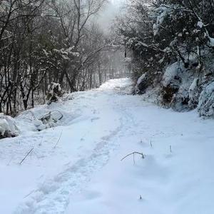 绵阳景点旅游景点推荐（绵阳景点旅游景点排名）