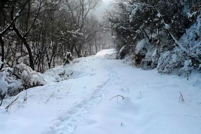 绵阳景点旅游景点推荐(绵阳景点旅游景点排名)-第1张图片 绵阳景点旅游景点推荐(绵阳景点旅游景点排名)-第1张图片