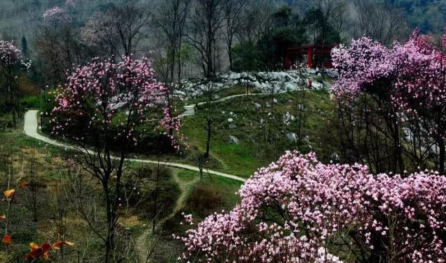 绵阳景点旅游景点推荐(绵阳景点旅游景点排名)-第10张图片 绵阳景点旅游景点推荐(绵阳景点旅游景点排名)-第10张图片