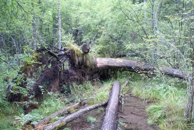 绵阳景点旅游景点推荐(绵阳景点旅游景点排名)-第11张图片 绵阳景点旅游景点推荐(绵阳景点旅游景点排名)-第11张图片