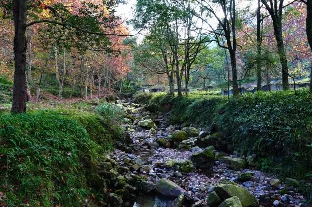 绵阳景点旅游景点推荐(绵阳景点旅游景点排名)-第19张图片 绵阳景点旅游景点推荐(绵阳景点旅游景点排名)-第19张图片