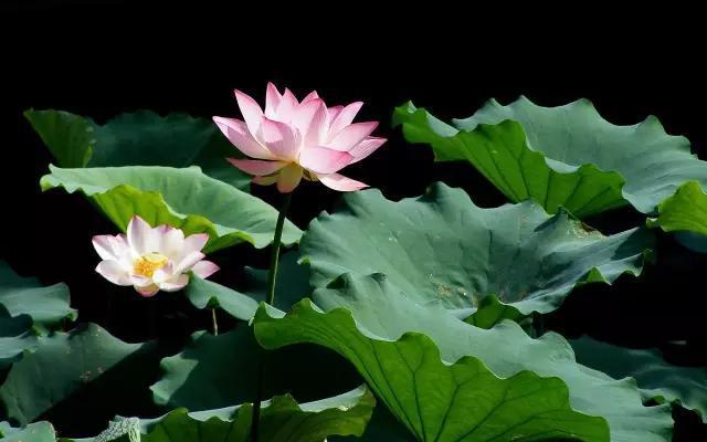 绵阳景点旅游景点推荐(绵阳景点旅游景点排名)-第23张图片 绵阳景点旅游景点推荐(绵阳景点旅游景点排名)-第23张图片