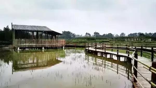 绵阳景点旅游景点推荐(绵阳景点旅游景点排名)-第36张图片 绵阳景点旅游景点推荐(绵阳景点旅游景点排名)-第36张图片