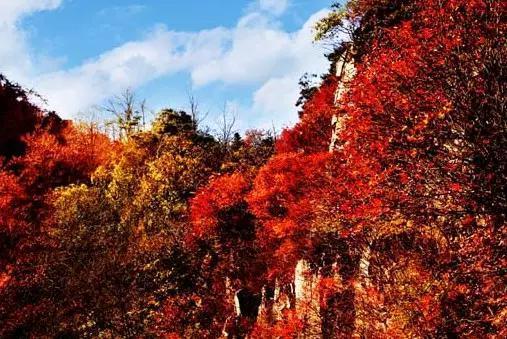 绵阳景点旅游景点推荐(绵阳景点旅游景点排名)-第39张图片 绵阳景点旅游景点推荐(绵阳景点旅游景点排名)-第39张图片