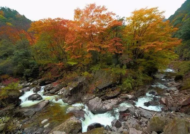 绵阳景点旅游景点推荐(绵阳景点旅游景点排名)-第41张图片 绵阳景点旅游景点推荐(绵阳景点旅游景点排名)-第41张图片