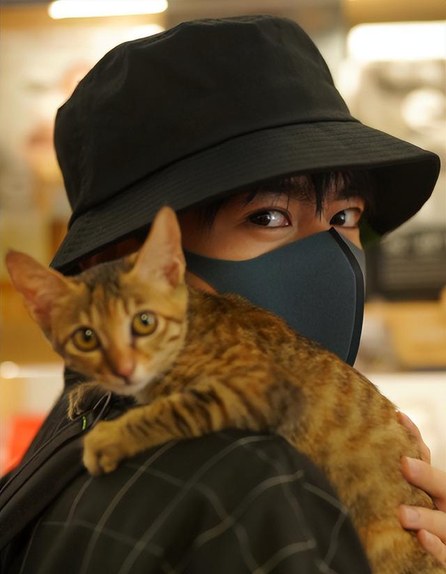 完结小说排行榜2022前十名小说排行榜（玄幻完结小说排行榜2022前十名）-第36张图片