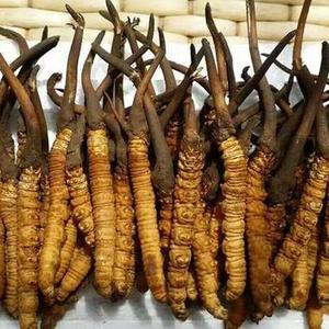 西藏拉萨特产有哪些值得购买（拉萨特产有哪些值得带）