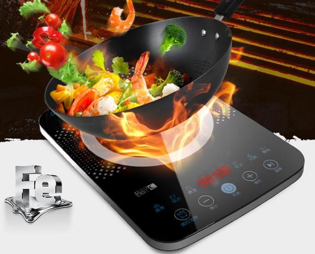 电磁炉哪个牌子好用耐用又省电（十大名牌电磁炉）-第3张图片