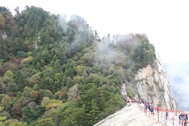 世界新七大自然景观有哪些(世界七大自然景观是哪七个)-第3张图片 世界新七大自然景观有哪些(世界七大自然景观是哪七个)-第3张图片