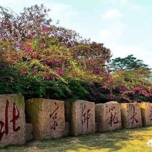 全国的985211大学名单排名（全国985211大学名单排名及所在地区）