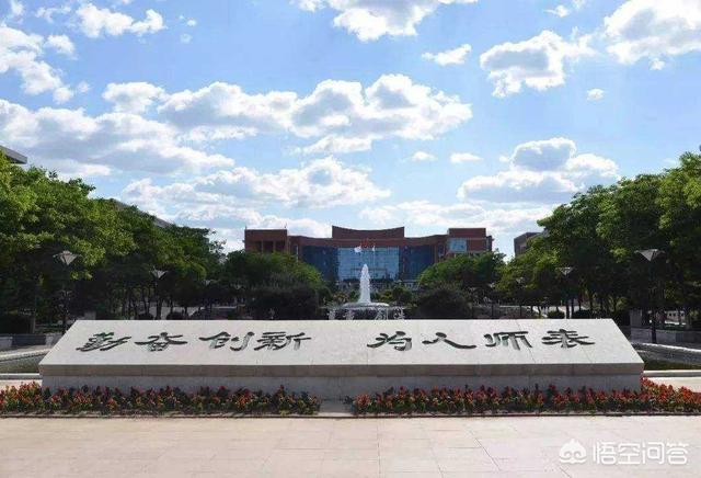 全国的985211大学名单排名（全国985211大学名单排名及所在地区）-第3张图片