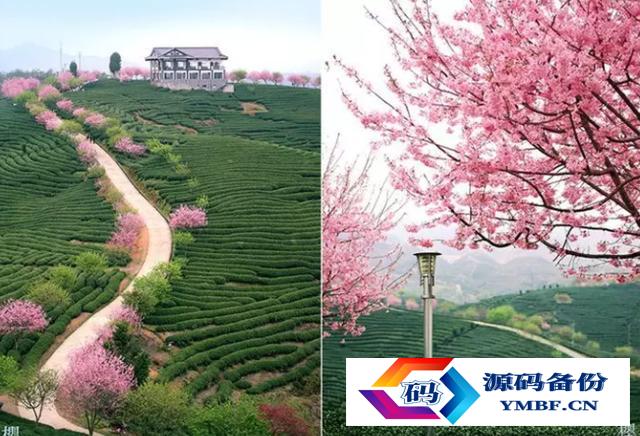 龙岩旅游景点大全排名（福建省龙岩市龙岩旅游景点大全）-第8张图片