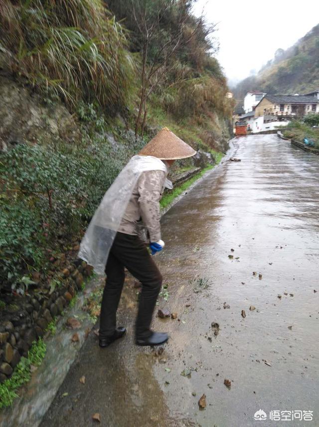 巴黎欧莱雅防晒霜怎么样（巴黎欧莱雅男士防晒霜怎么样）-第1张图片