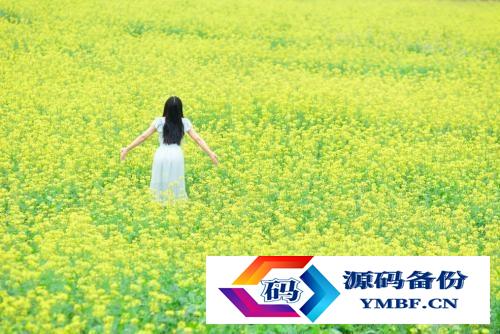 花雨伞太阳镜什么档次（花雨伞衣服什么档次）-第4张图片