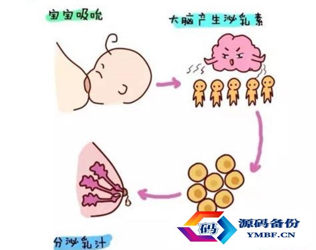 麦乳精回奶效果好吗（维生素b6回奶效果好吗）-第4张图片