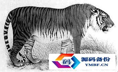 中国已灭绝的动物名单（中国已灭绝的动物名单图片）-第1张图片