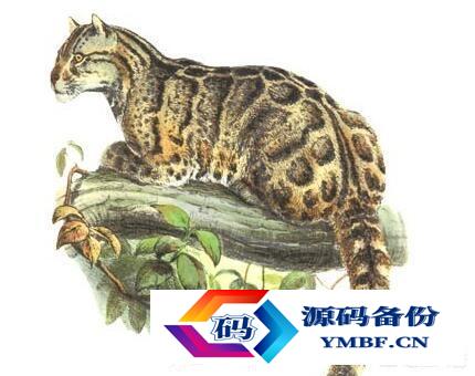 中国已灭绝的动物名单（中国已灭绝的动物名单图片）-第2张图片