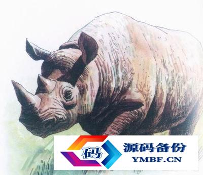 中国已灭绝的动物名单（中国已灭绝的动物名单图片）-第5张图片