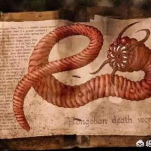 恶魔蠕虫图片新物种（找到恶魔蠕虫的图片）