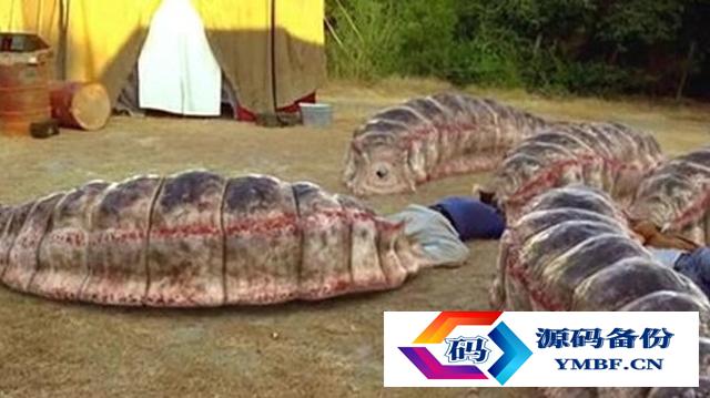 恶魔蠕虫图片新物种（找到恶魔蠕虫的图片）-第3张图片