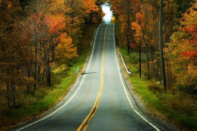 深圳弘文艺术酒店（深圳弘文艺术有限公司）-第4张图片