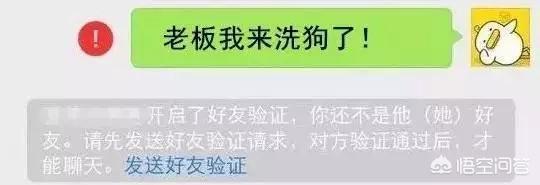 匈牙利牧羊犬图片（匈牙利长毛牧羊犬）-第10张图片