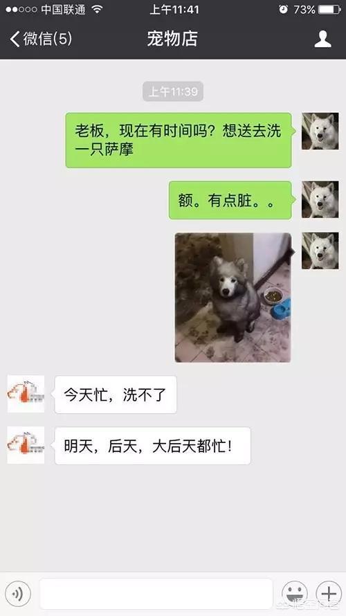 匈牙利牧羊犬图片（匈牙利长毛牧羊犬）-第17张图片