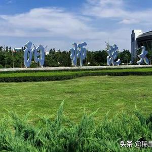 沈阳大学外国语学院录取分数线（沈阳大学师范学院录取分数线）