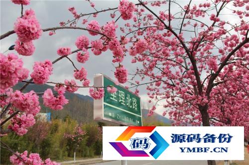 预防医学专业排名大学校友会（大理大学预防医学排名）-第4张图片