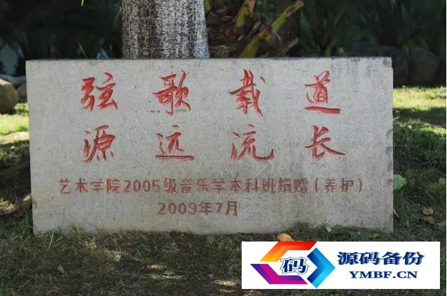 预防医学专业排名大学校友会（大理大学预防医学排名）-第6张图片