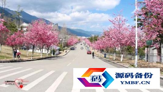 预防医学专业排名大学校友会（大理大学预防医学排名）-第7张图片