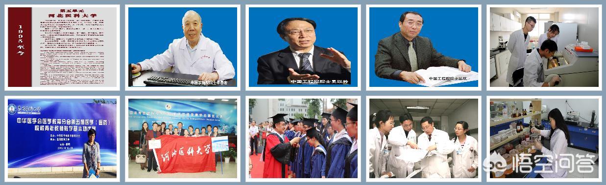 河北医大研究生学院官网(安医大研究生学院官网)-第8张图片 河北医大研究生学院官网(安医大研究生学院官网)-第8张图片