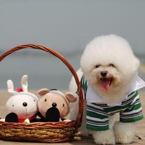 贵族狗粮是天然粮吗（皇家狗粮是天然粮吗）