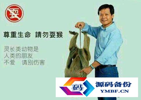 小米新品是什么（小米新款）-第1张图片