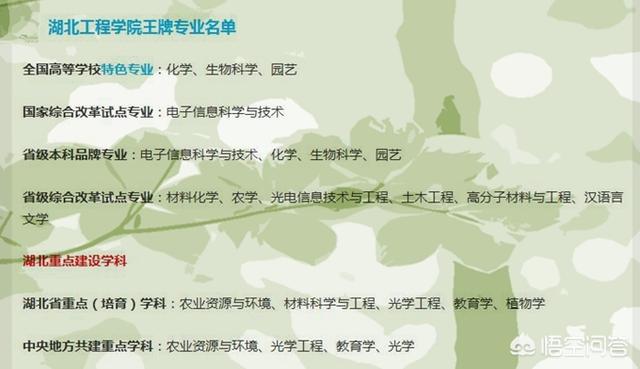 武汉工程大学是几本是211吗（武汉工程大学是几本是一本）-第5张图片